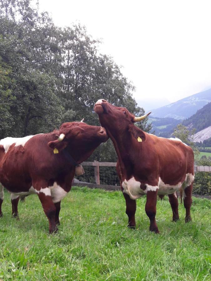 Ferienhaus Lechnerhof ชลัดมิง ภายนอก รูปภาพ