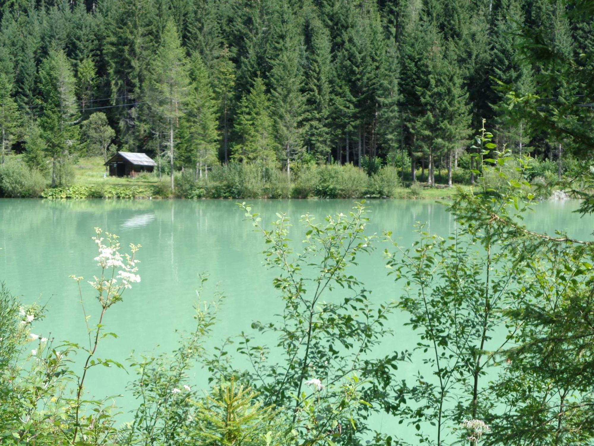 Ferienhaus Lechnerhof ชลัดมิง ภายนอก รูปภาพ