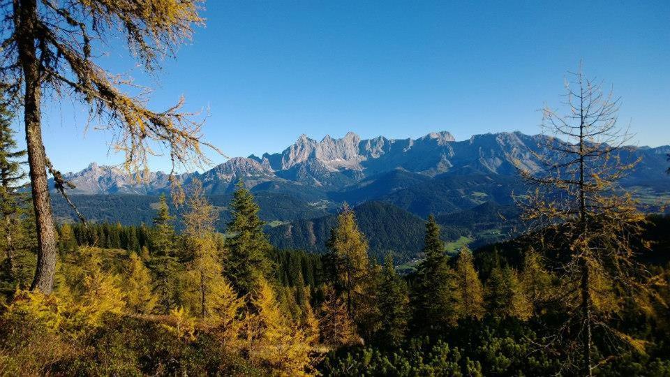 Ferienhaus Lechnerhof ชลัดมิง ภายนอก รูปภาพ