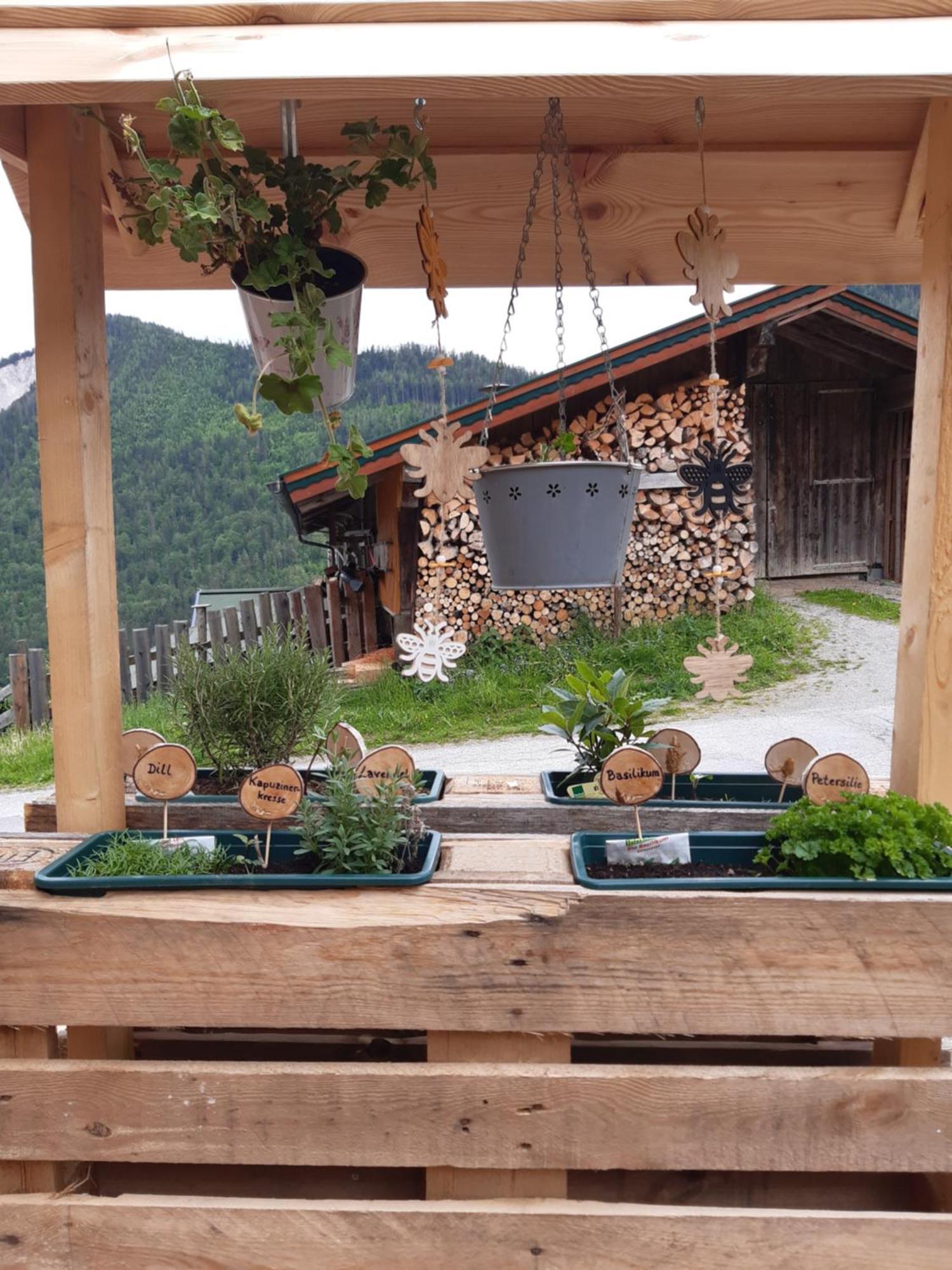Ferienhaus Lechnerhof ชลัดมิง ภายนอก รูปภาพ