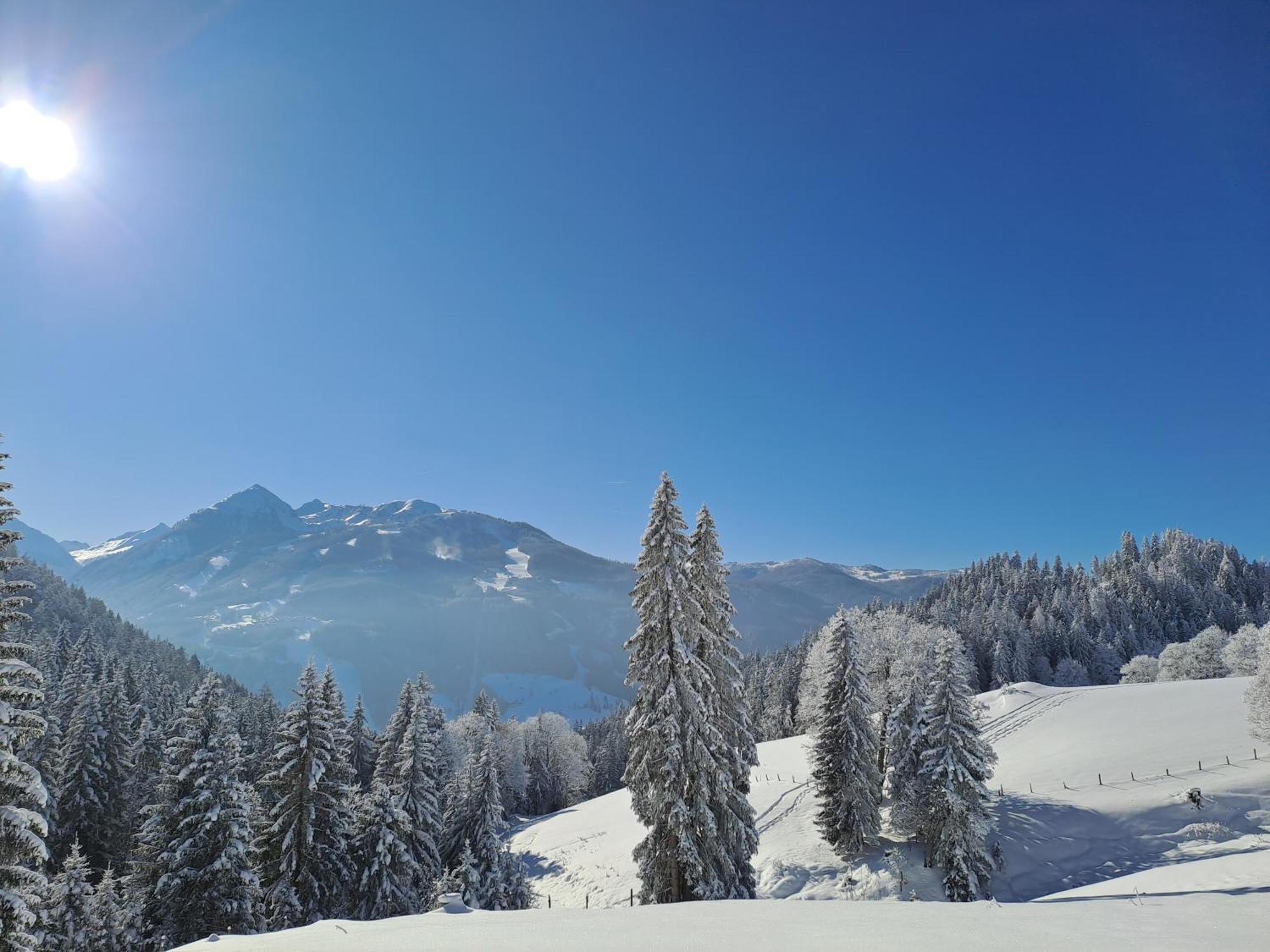 Ferienhaus Lechnerhof ชลัดมิง ภายนอก รูปภาพ