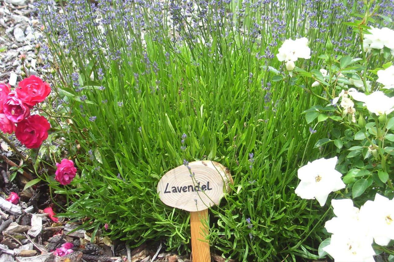 Ferienhaus Lechnerhof ชลัดมิง ภายนอก รูปภาพ