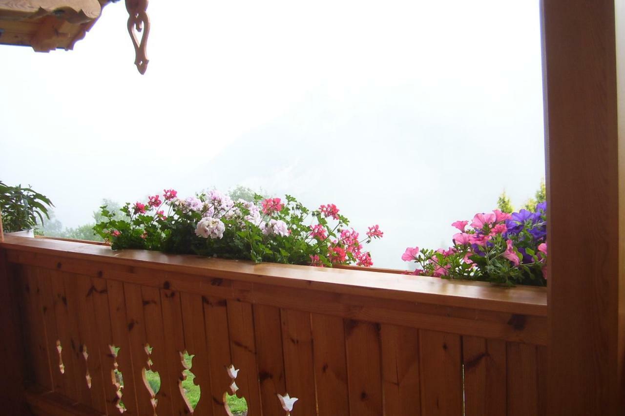 Ferienhaus Lechnerhof ชลัดมิง ภายนอก รูปภาพ